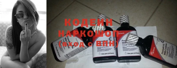 хмурый Ладушкин