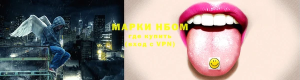 хмурый Ладушкин