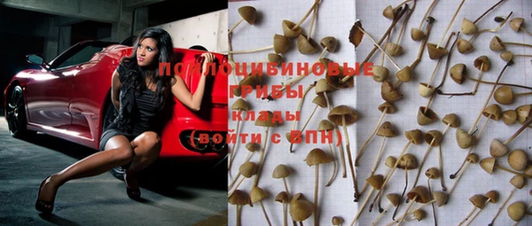 марихуана Лабытнанги