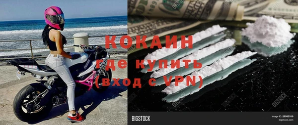 хмурый Ладушкин