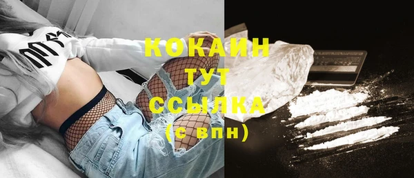 хмурый Ладушкин