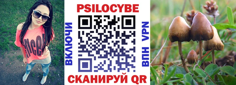 блэк спрут ONION  Шарья  Псилоцибиновые грибы Magic Shrooms 